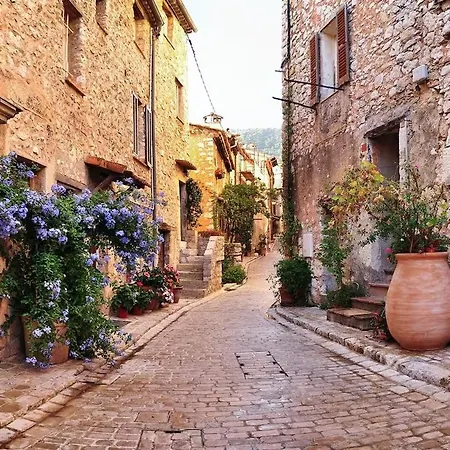 9 Rue Saint Honorat Centre Les Pins Juan-les-Pins